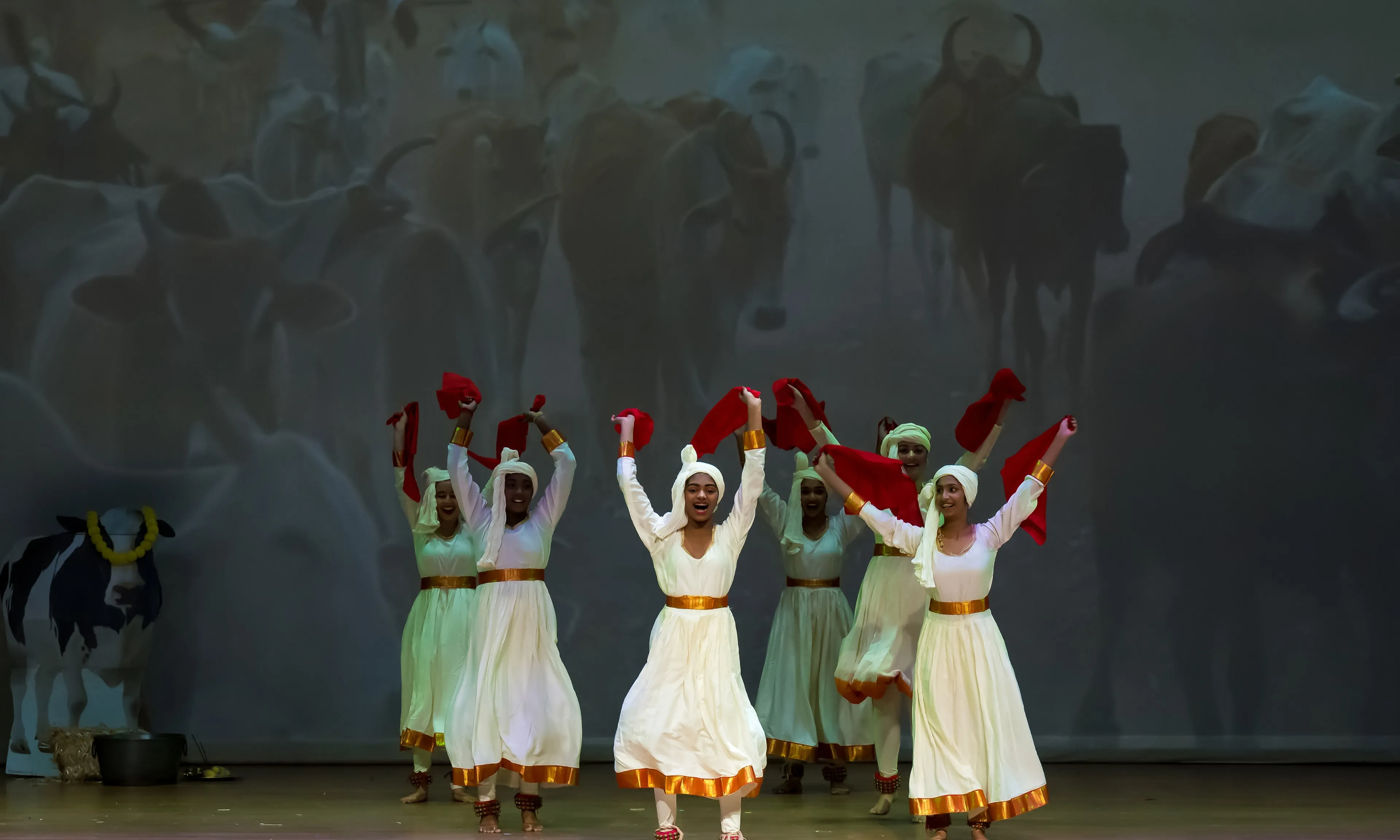 NSDA dancers performing Dhangar on stage