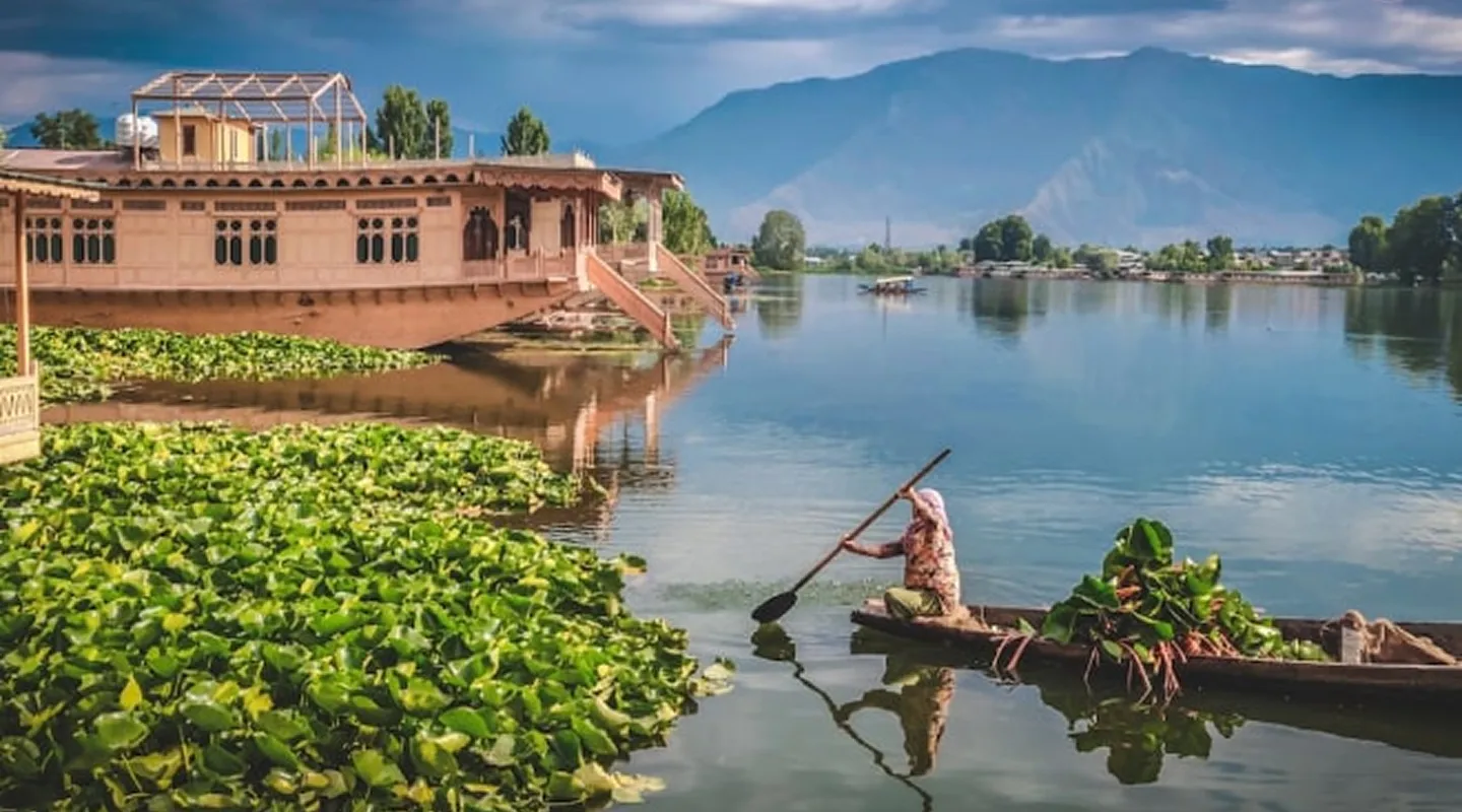A shikara on a lake in the Kashmir valley